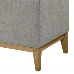 Loftscape Truhe Esperanto - Microvelours Thala: Silber -Schlafzimmer Verkaufe DE 1000307897 211217 11283100088 DETAILS P000000001000307897