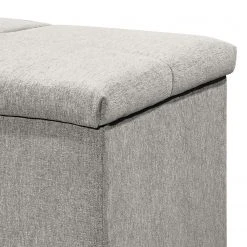 Loftscape Truhe Esperanto - Microvelours Thala: Silber -Schlafzimmer Verkaufe DE 1000307897 211217 11284300098 DETAILS P000000001000307897