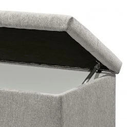 Loftscape Truhe Esperanto - Microvelours Thala: Silber -Schlafzimmer Verkaufe DE 1000307897 211217 112854000107 DETAILS P000000001000307897