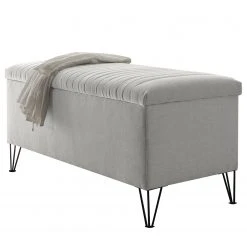 Loftscape Truhe Birdsville - Microvelours Thala: Silber